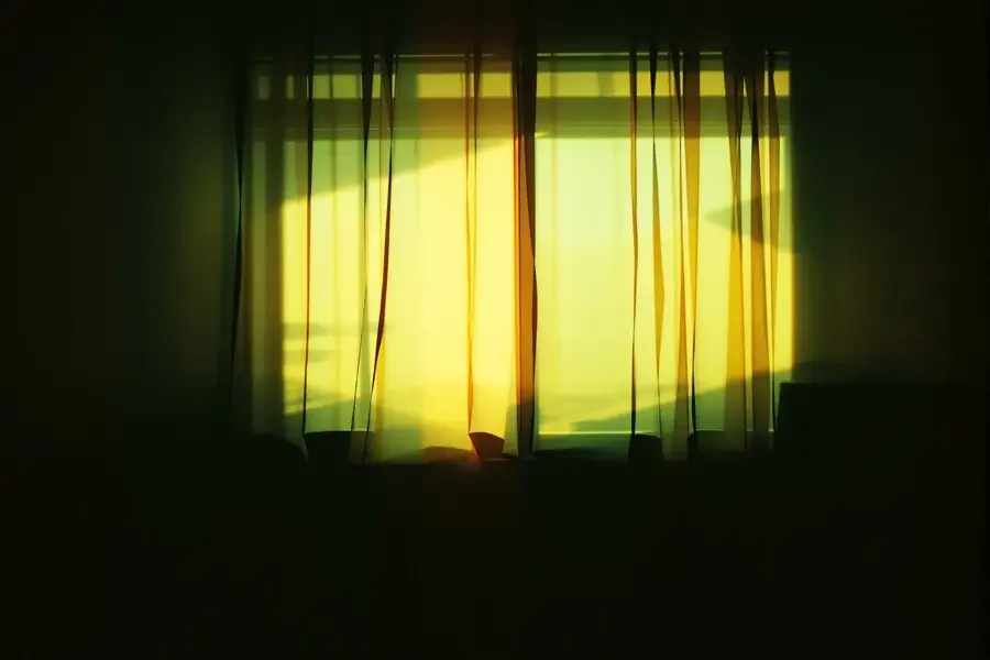 4K 修复版《岁月如歌》重映反响热烈 - 玫瑰视频重映